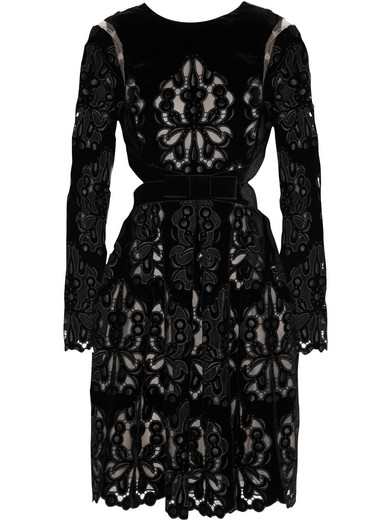 Erdem | Franzi laser-cut embroidered velvet dress | NET-A-PORTER.COM