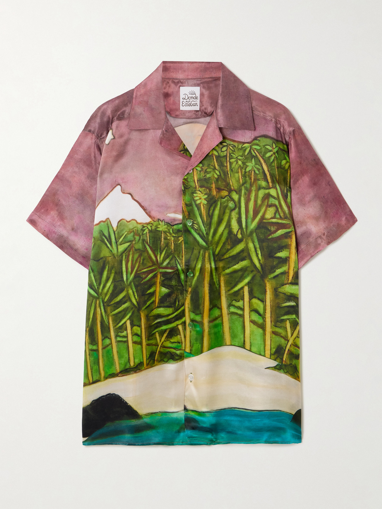 La Sierra Printed Silk-Satin Shirt